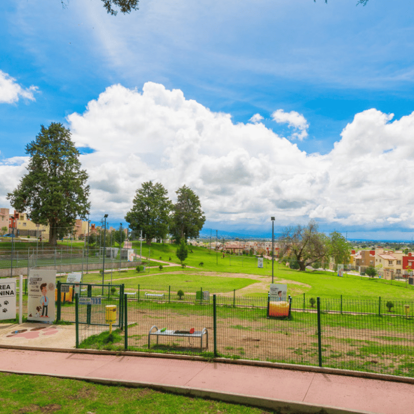 Areas verdes