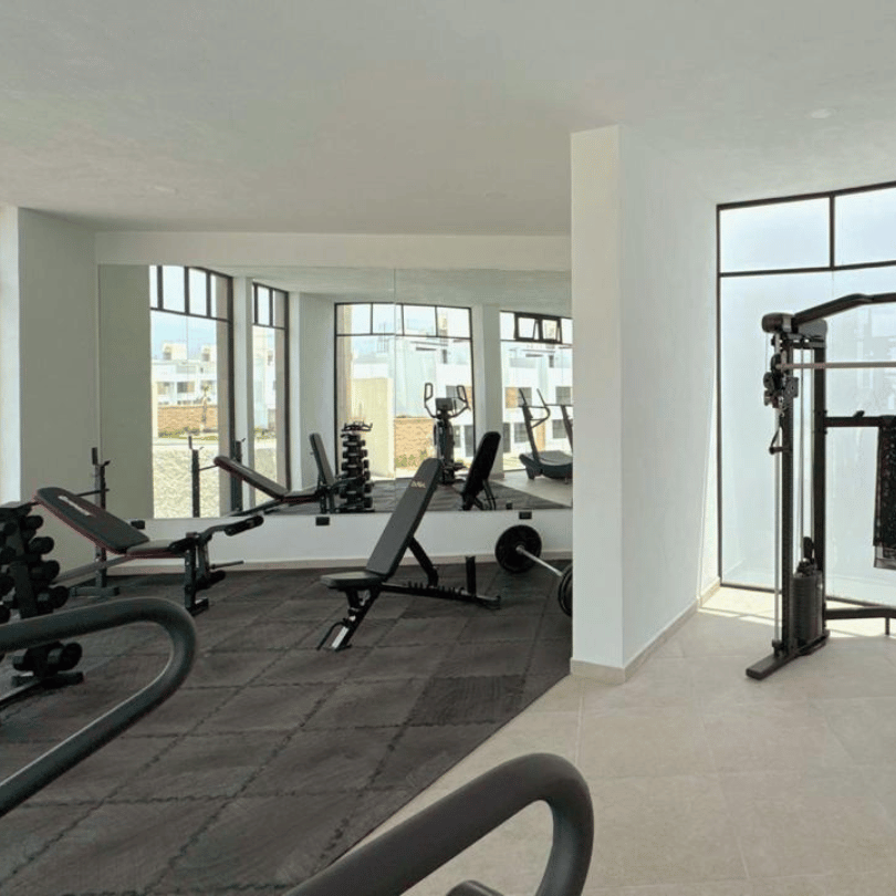 Gimnasio